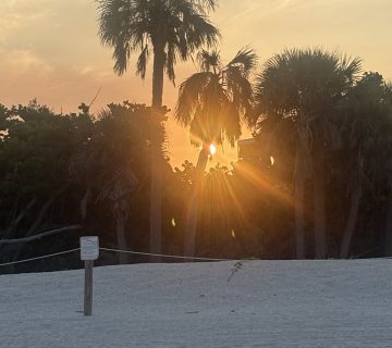 Thumbnail IMG 8420 360x320