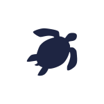 sea turtle Sea turtle