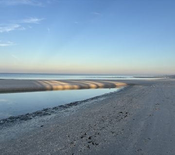Thumbnail IMG 7633 360x320