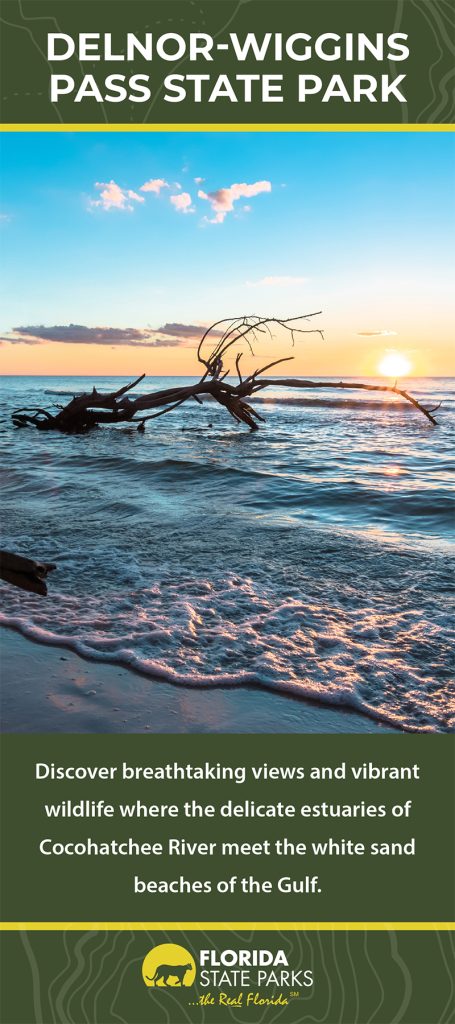 FINAL DelnorWigginsPass RackCard (1 5 26) 1