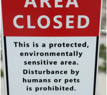 Screenshot 2026 01 27 at 09 47 25 Dunes Must be Respected and Protected docx Google Docs 360x320